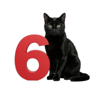 大きな「6」のオブジェと並ぶ猫猫のイラスト
