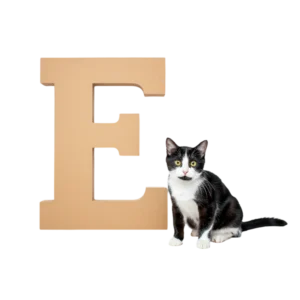 大きな「E」のオブジェと並ぶ猫猫のイラスト