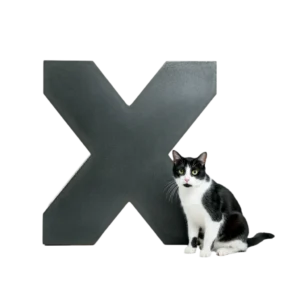 大きな「X」のオブジェと並ぶ猫猫のイラスト