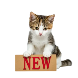 「NEW」と書かれた看板と並ぶ猫猫のイラスト