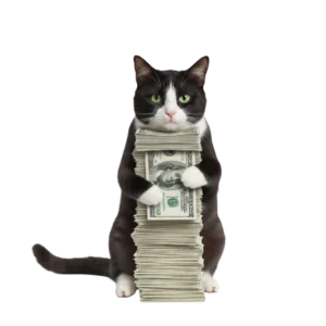 お金を大事そうに抱えているハチワレ猫のイラスト