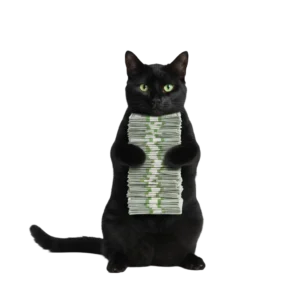 お金を大事そうに抱えている黒猫のイラスト