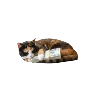 お金を大事そうに抱えている三毛猫のイラスト