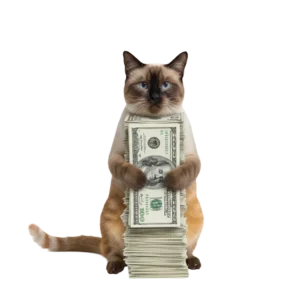 お金を大事そうに抱えているシャム猫のイラスト