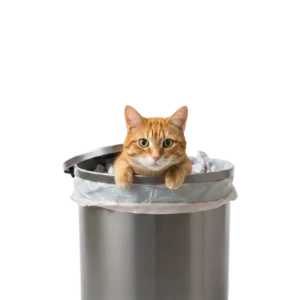 ゴミ箱から顔を出している茶トラ猫のイラスト