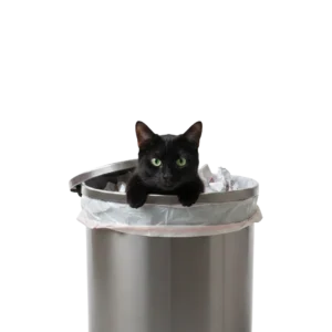 ゴミ箱から顔を出している黒猫のイラスト