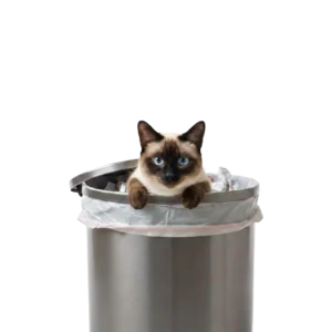 ゴミ箱から顔を出しているシャム猫のイラスト
