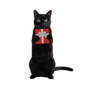 リボンのついたプレゼント箱を差し出す黒猫のイラスト
