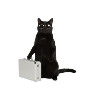 怪しい取引をしそうな黒猫のイラスト