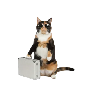 怪しい取引をしそうな三毛猫のイラスト
