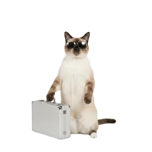 怪しい取引をしそうなシャム猫のイラスト